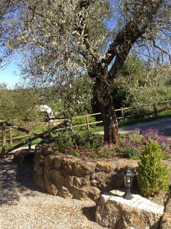 Podere Poggio Benedetto Saturnia Room photo