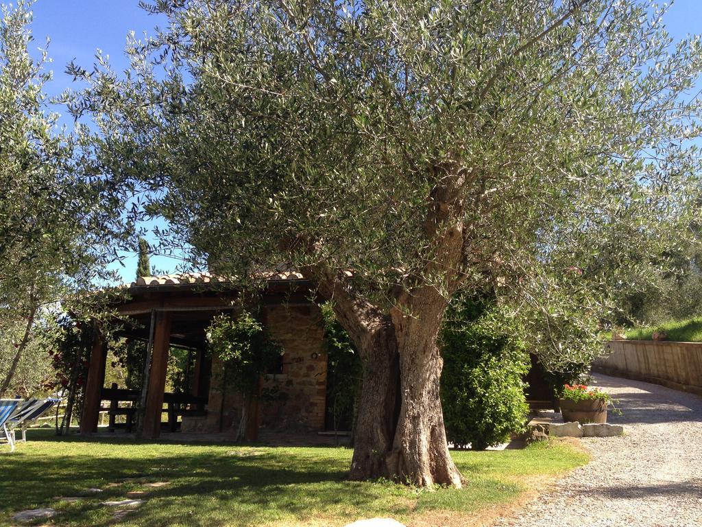 Podere Poggio Benedetto Saturnia Room photo